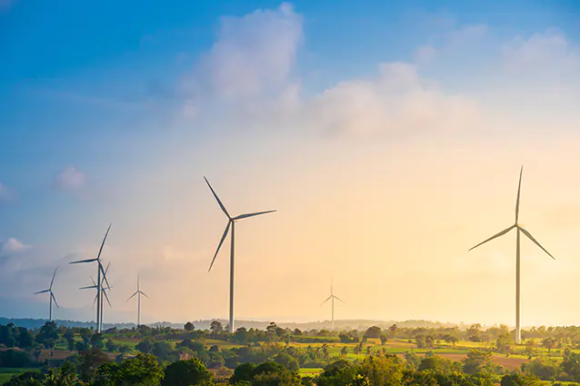wind turbines in a field at sunset
