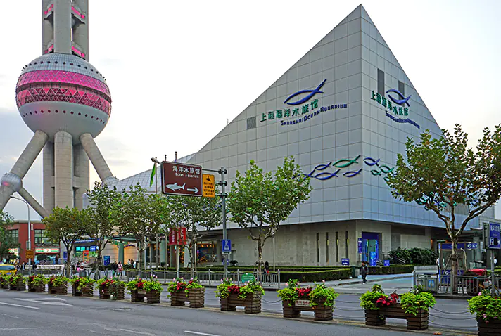 shanghai ocean aquarium