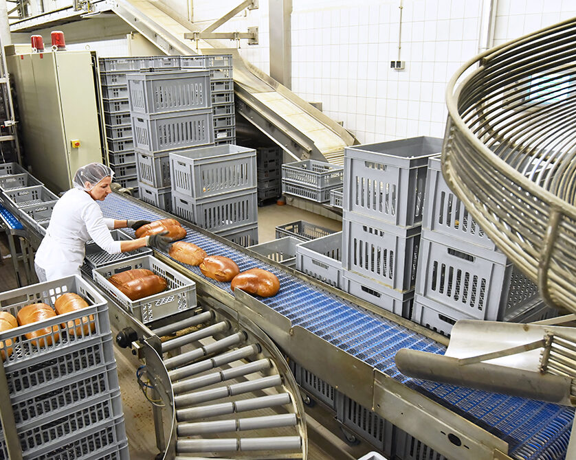 pipes helping in food processing